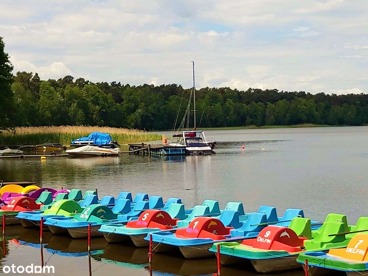 200 metrów jezioro - wpłata 47 016 zł i 60 rat 783,60 zł 0% - bez BIK - Pełny obrazek: 5/6