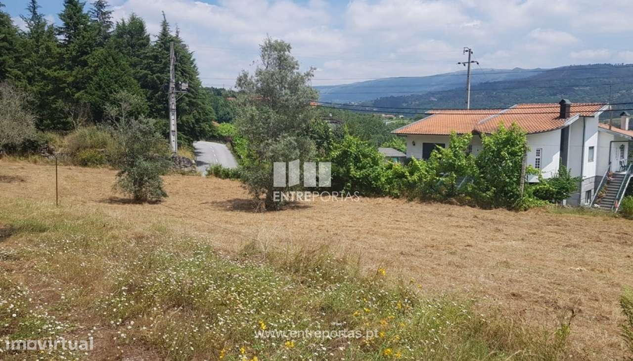 Venda Terreno, Várzea de Ovelha e Aliviada, Marco de Canaveses - Grande imagem: 4/8