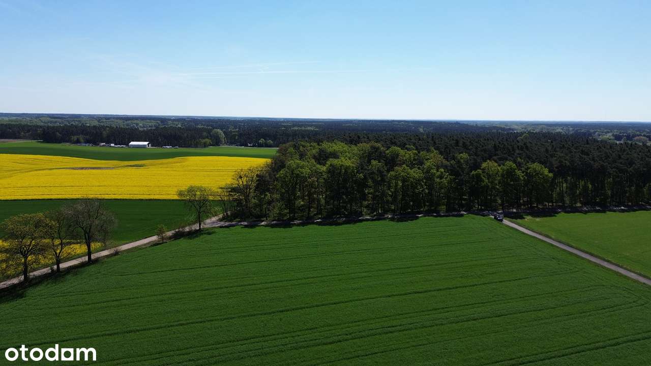 Działka rolna pod lasem 18 738m2 ! - Pełny obrazek: 4/5