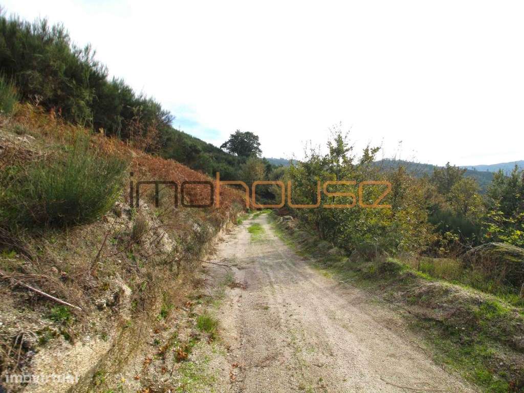 Quinta isolada - Amarante-43