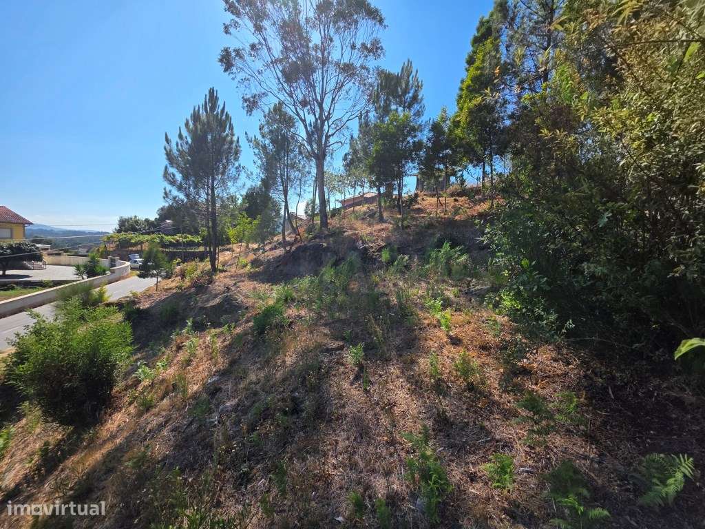 Terreno para construção, em Moreira do lima-6