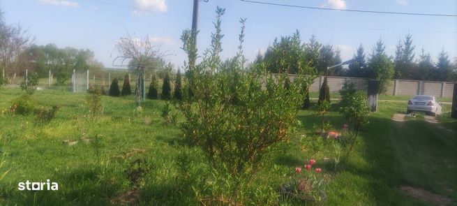 Casă în Pelișor-4