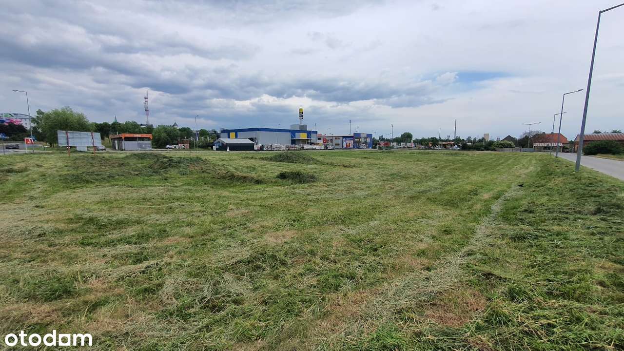 Polkowice - działka 75 a na sprzedaż - Pełny obrazek: 5/9