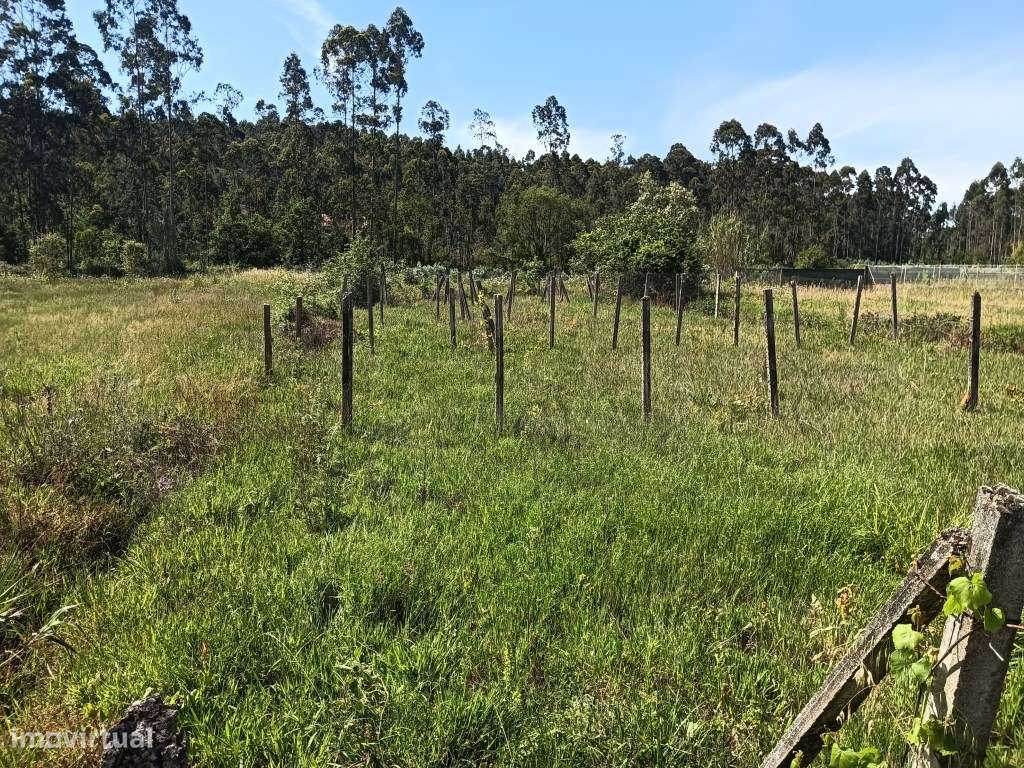 Terreno para construção de moradia - Oliveira do Bairro - Grande imagem: 4/21