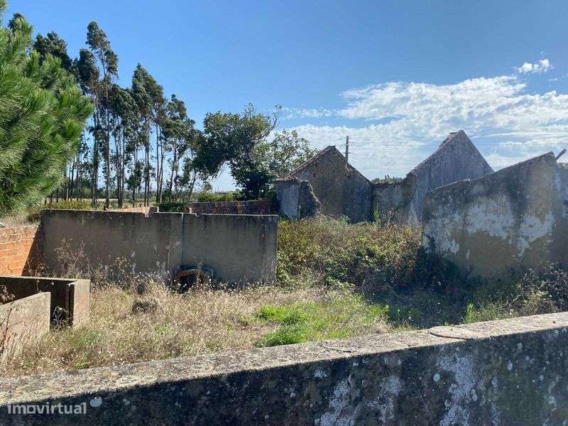 Terreno na Avenida do Frade, 21 - Silveira - Grande imagem: 5/8