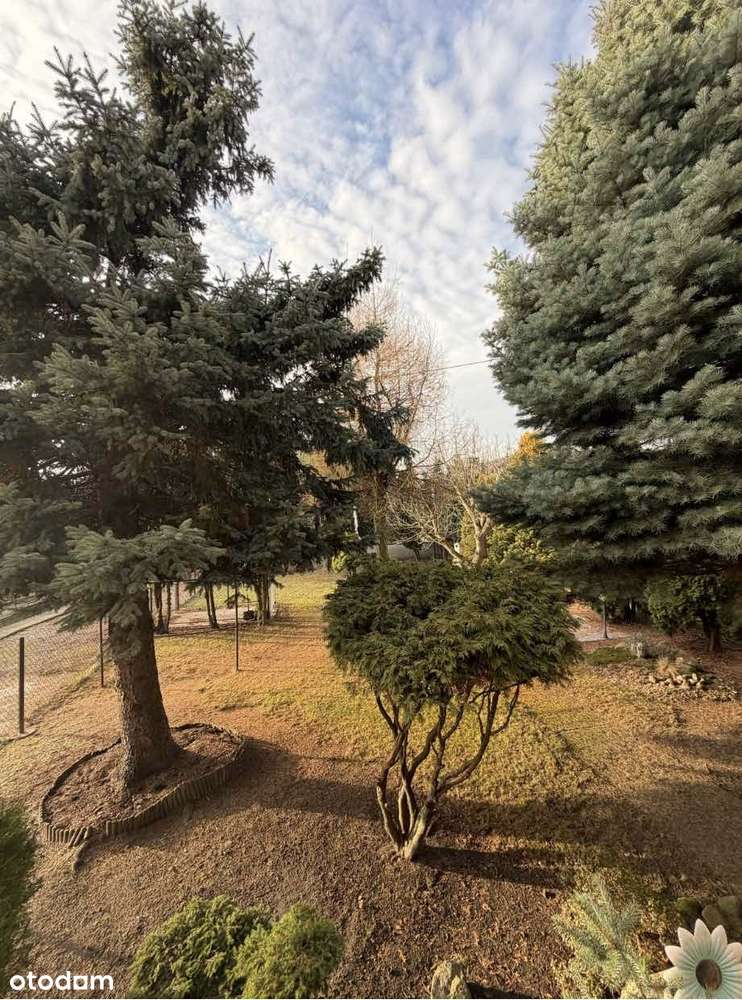 Przestronny dom z garażem i ogrodem w mieście - Pełny obrazek: 4/16