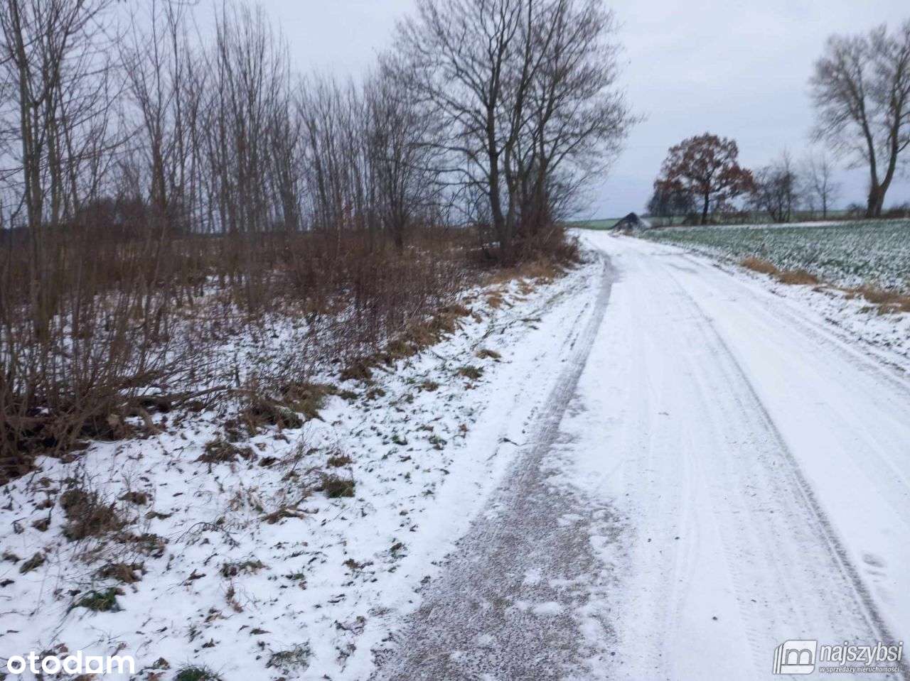 Golczewo Ziemia Rolna 0,30 ha - Pełny obrazek: 2/13