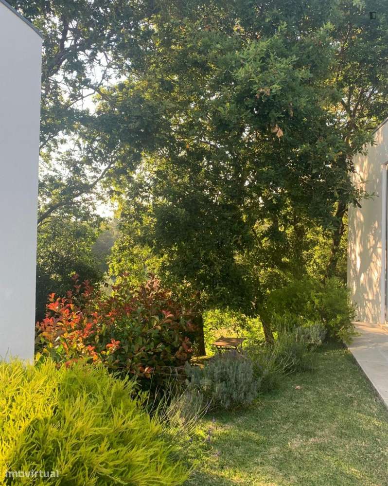 Casa com 2 quartos - localizado em Viana do castelo - Grande imagem: 4/5