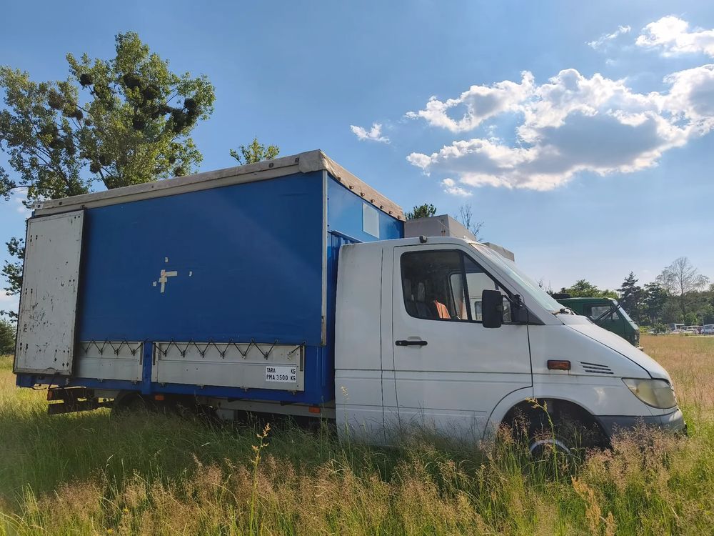 Mercedes-benz 416 2001