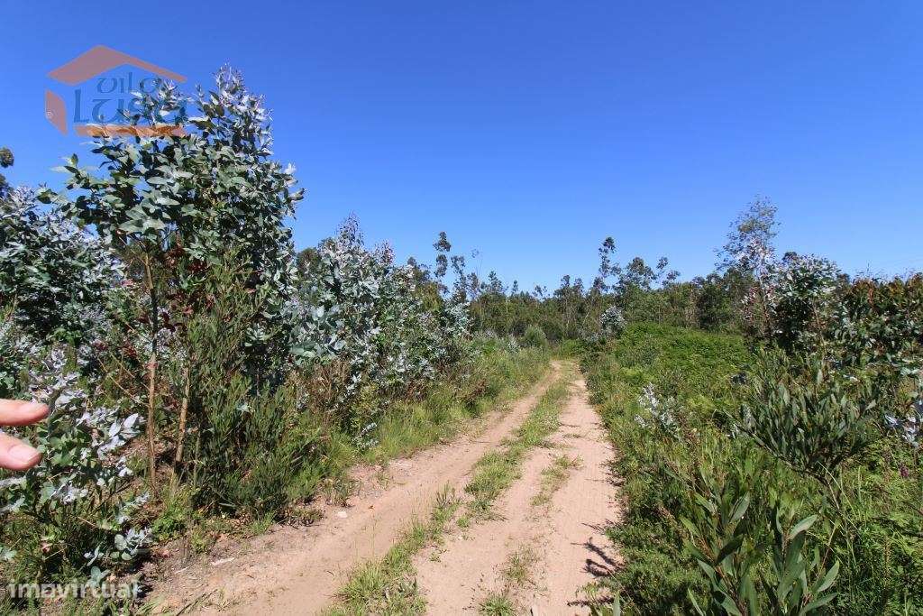 Terreno Industrial com 5.368 m2 para a construção de armazém - Grande imagem: 2/10