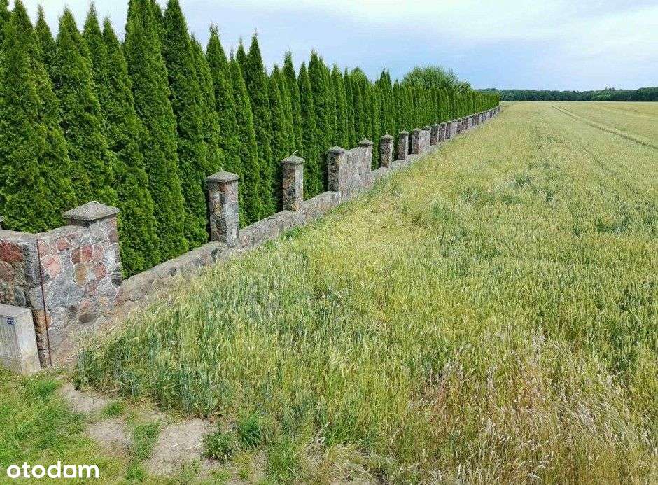 Rezydencja do własnej Aranżacji z dużą działką-18