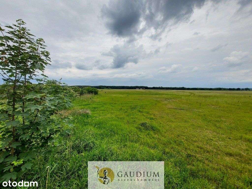 Turystyka nad brzegiem rzeki Obry-6