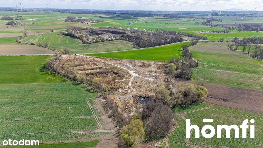 Działka przemysłowo-produkcyjna, blisko autostrady - Pełny obrazek: 4/17