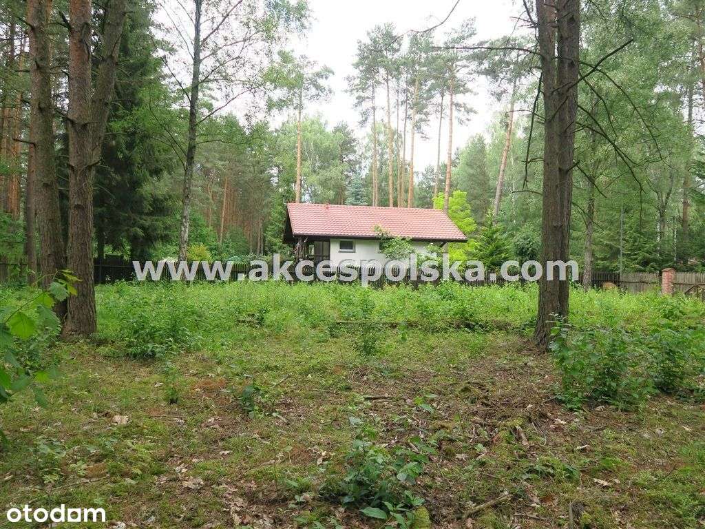 działka z aktualną Wz i starodrzewem-5