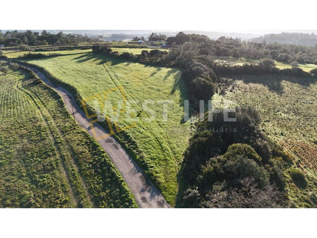 Terreno Rústico / Agrícola de 8125m2 perto de todas as infraestrutu... - Grande imagem: 5/17