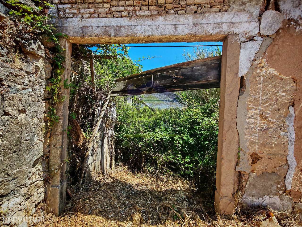 Terreno para Construção Delgada - Bombarral - Grande imagem: 4/21