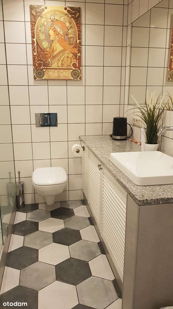 Krzyki Borek w zabytkowej willi,lokal po adaptacji i remoncie.-10