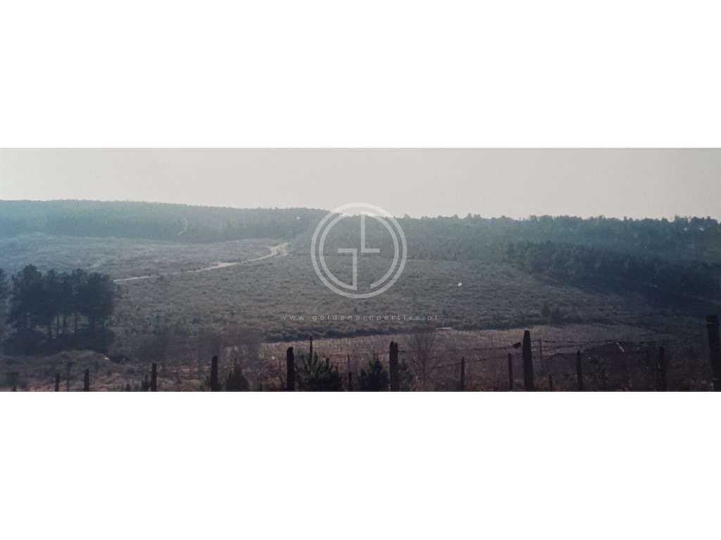 Terreno em Sabrosa, Vila Real - Grande imagem: 5/12