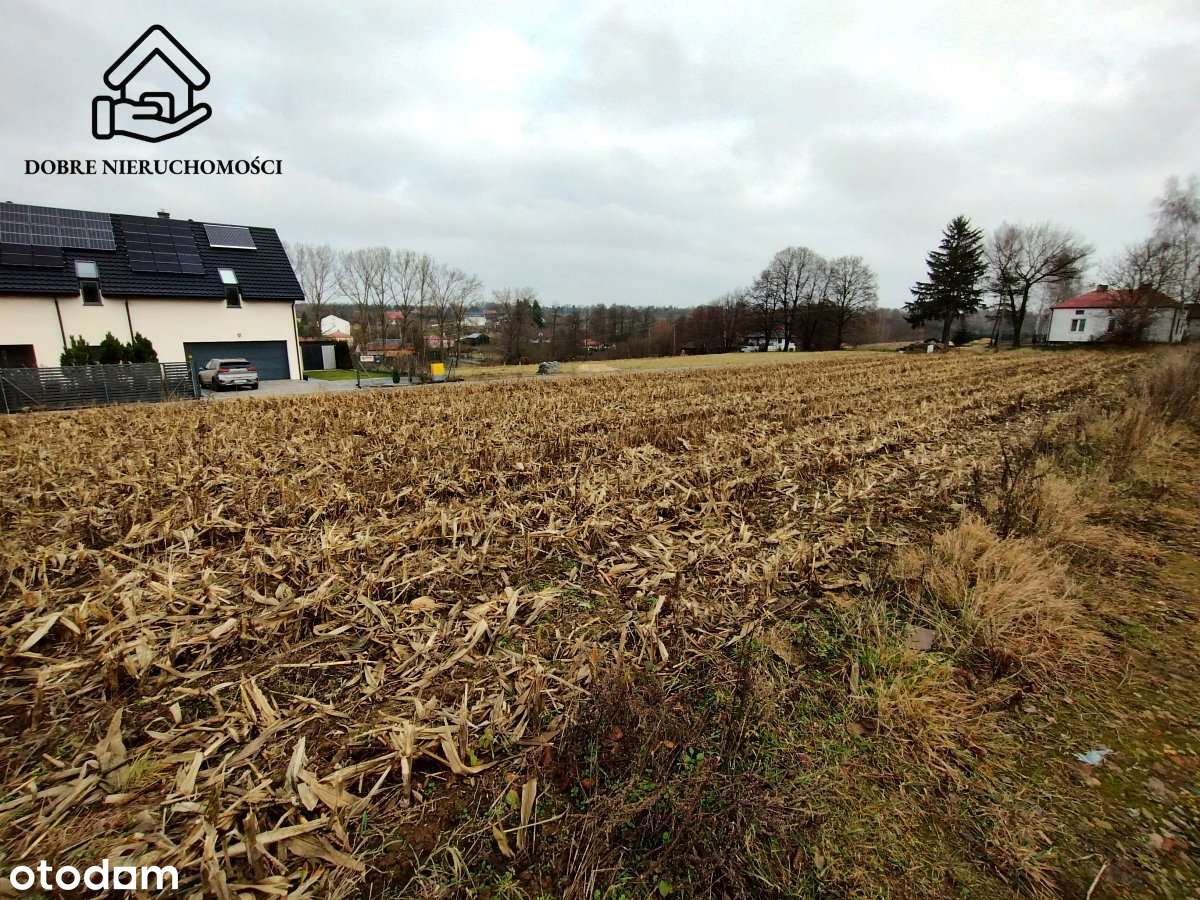 Budowlana 0,17ha przed obwodnicą Płouszowice Kol.-3