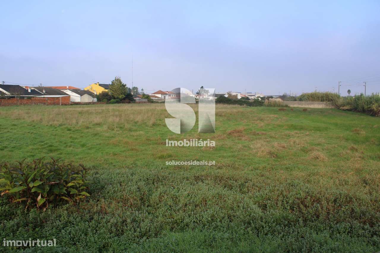 Terreno Aveiro - Aradas - Grande imagem: 4/9