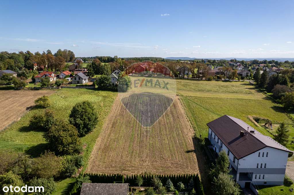 Działka budowlana - Sprzedaż - Sanka (36,58ar)-12