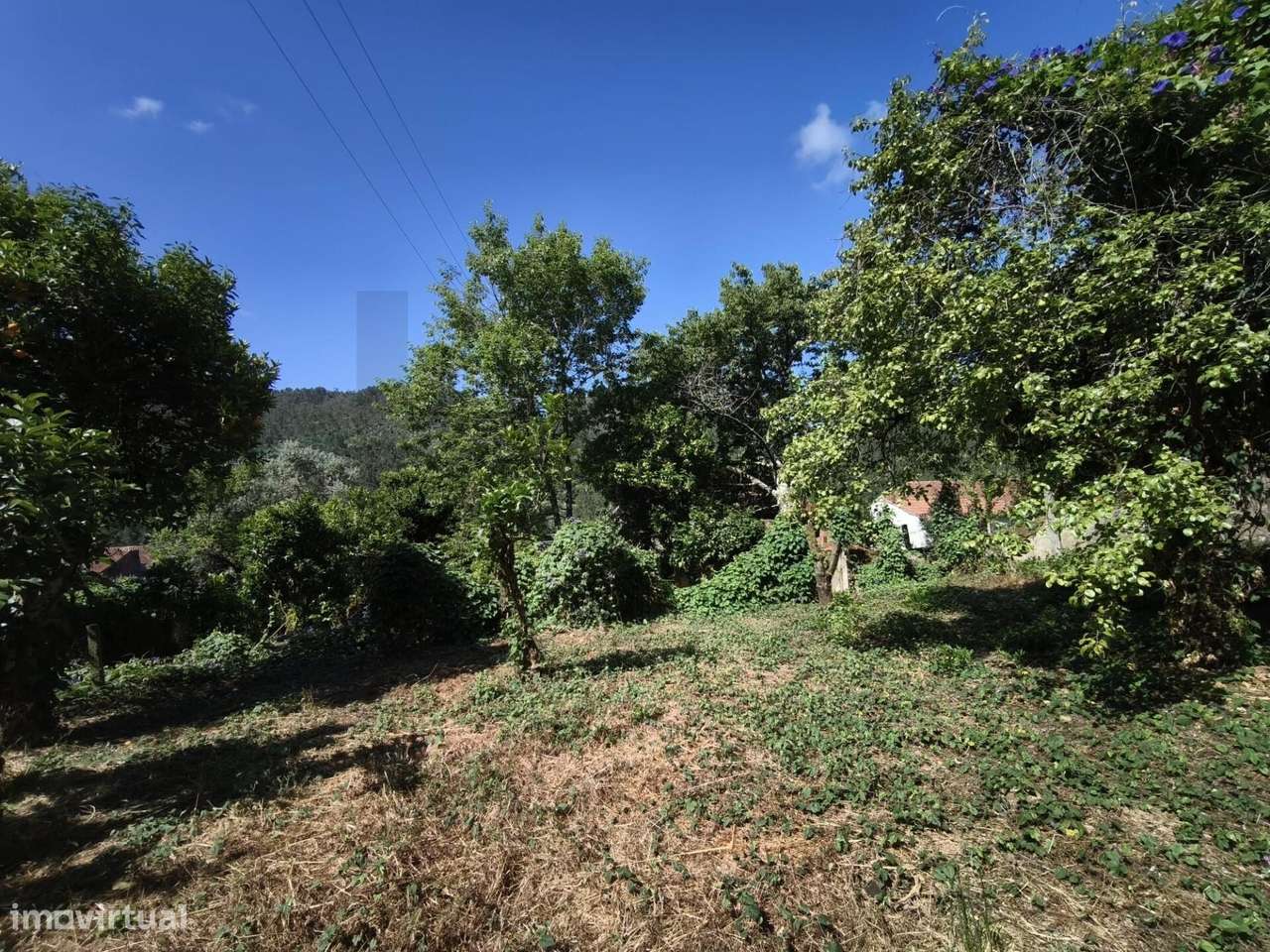 Moradia para recuperar em Casal de Santo Amaro - Penacova-9