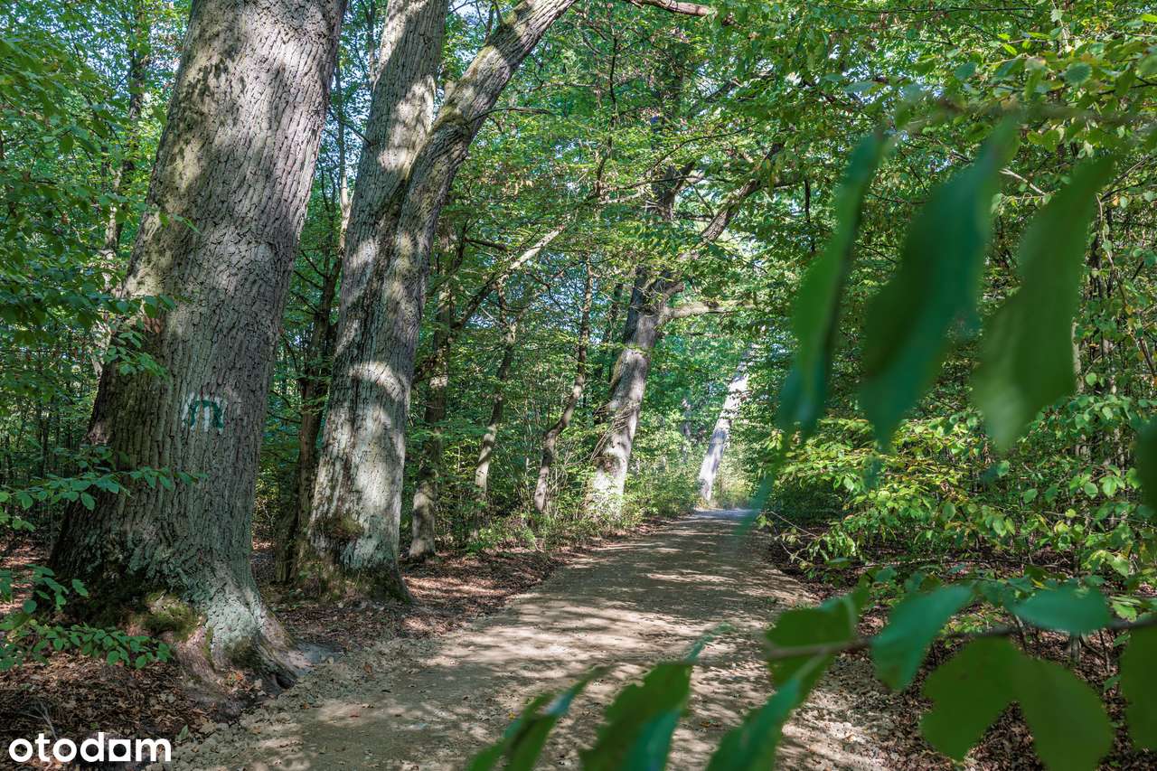 Domy w zabudowie bliźniaczej tuż przy Chojnowskim Parku Krajobrazowym-11