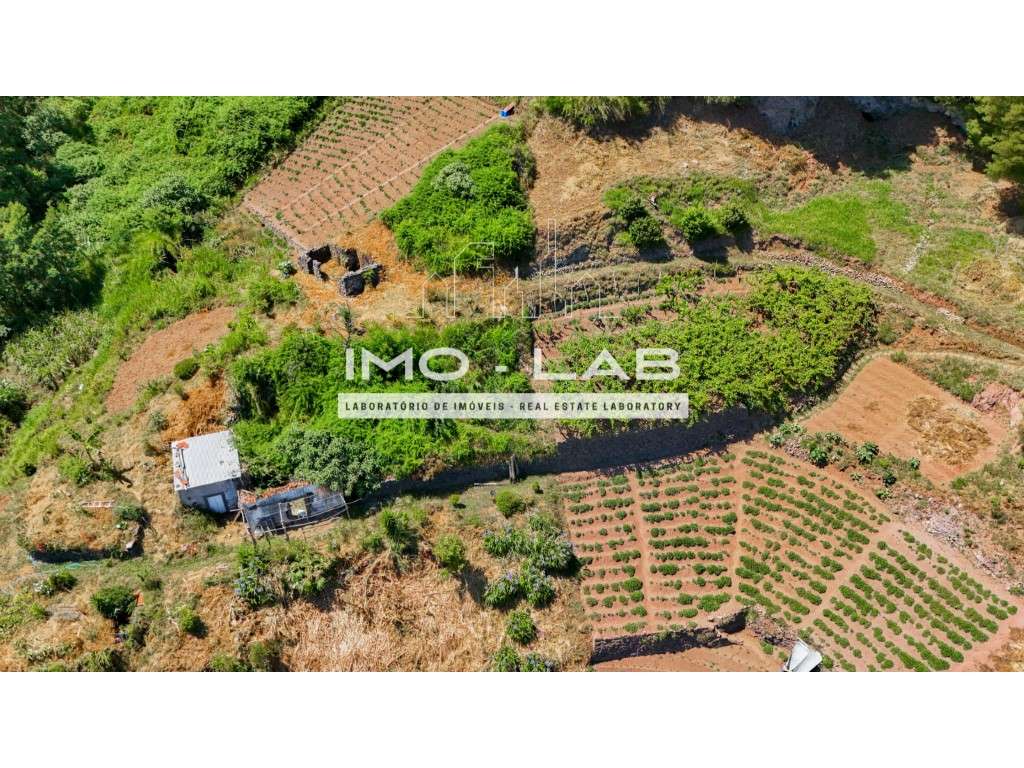 Terreno com 1615m2 - Vista Mar - Câmara de Lobos - Grande imagem: 5/16