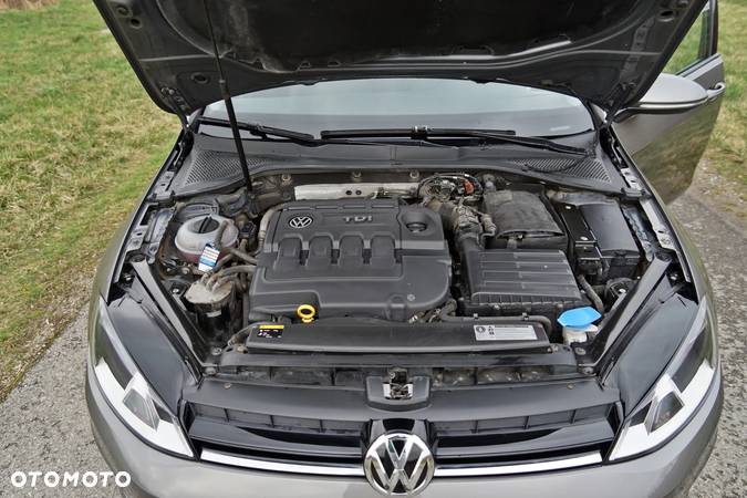 Volkswagen Golf VII 1.6 TDI BlueMotion Trendline - 14