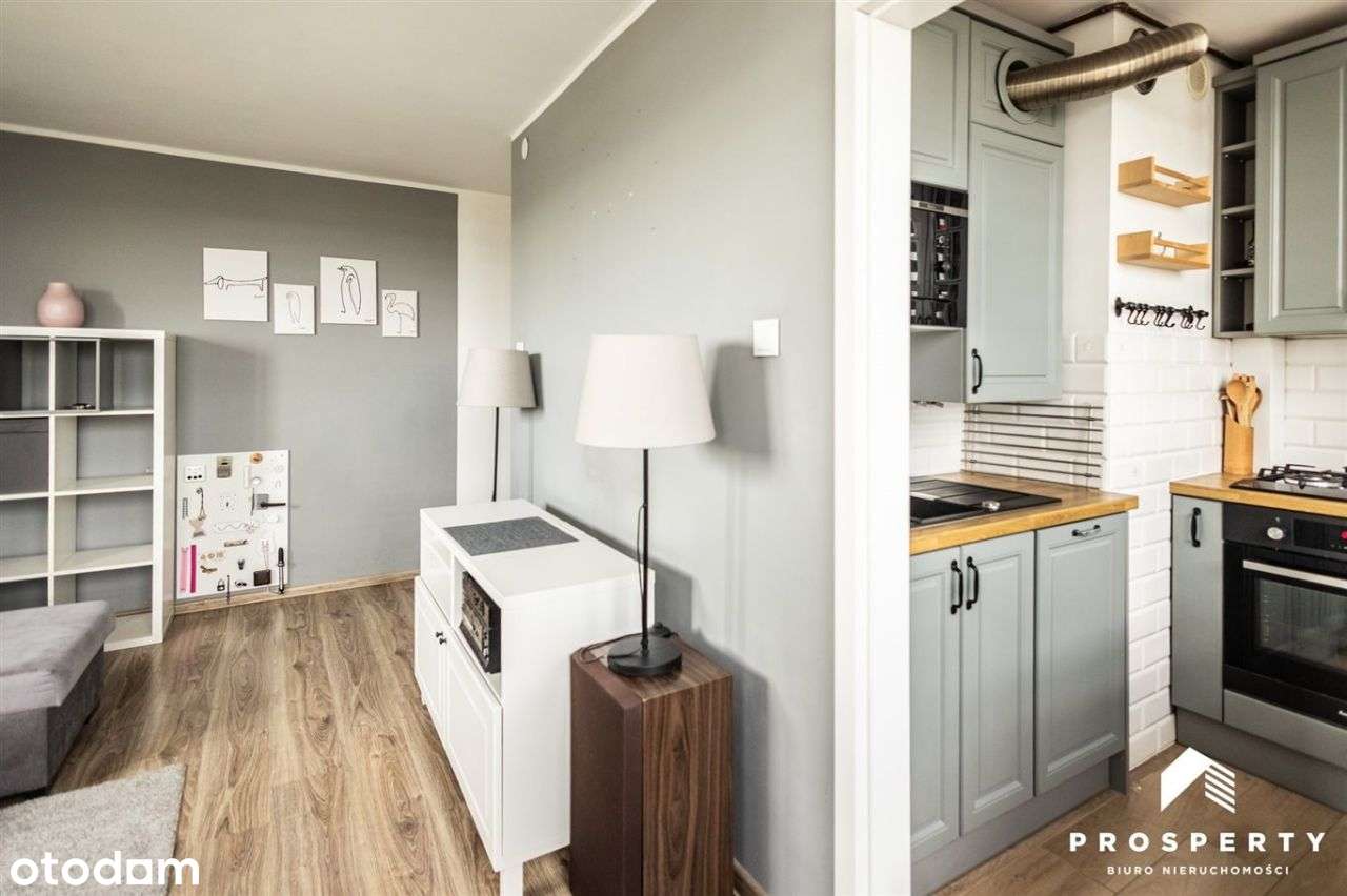 Wynajem 3 pokojowe centrum Bielska widok na góry - Pełny obrazek: 4/19