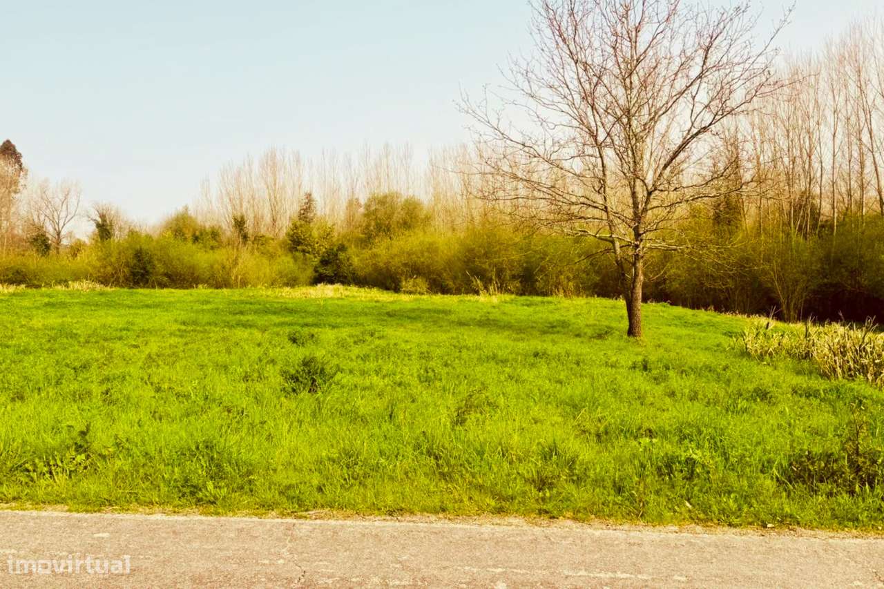 Terreno para construção em Aguada de Cima - Águeda-18