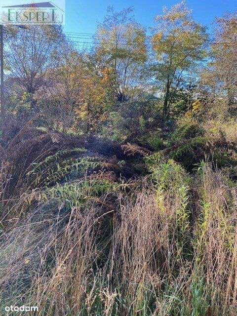 Zawiercie Skarżyce w całości budowlana!-0