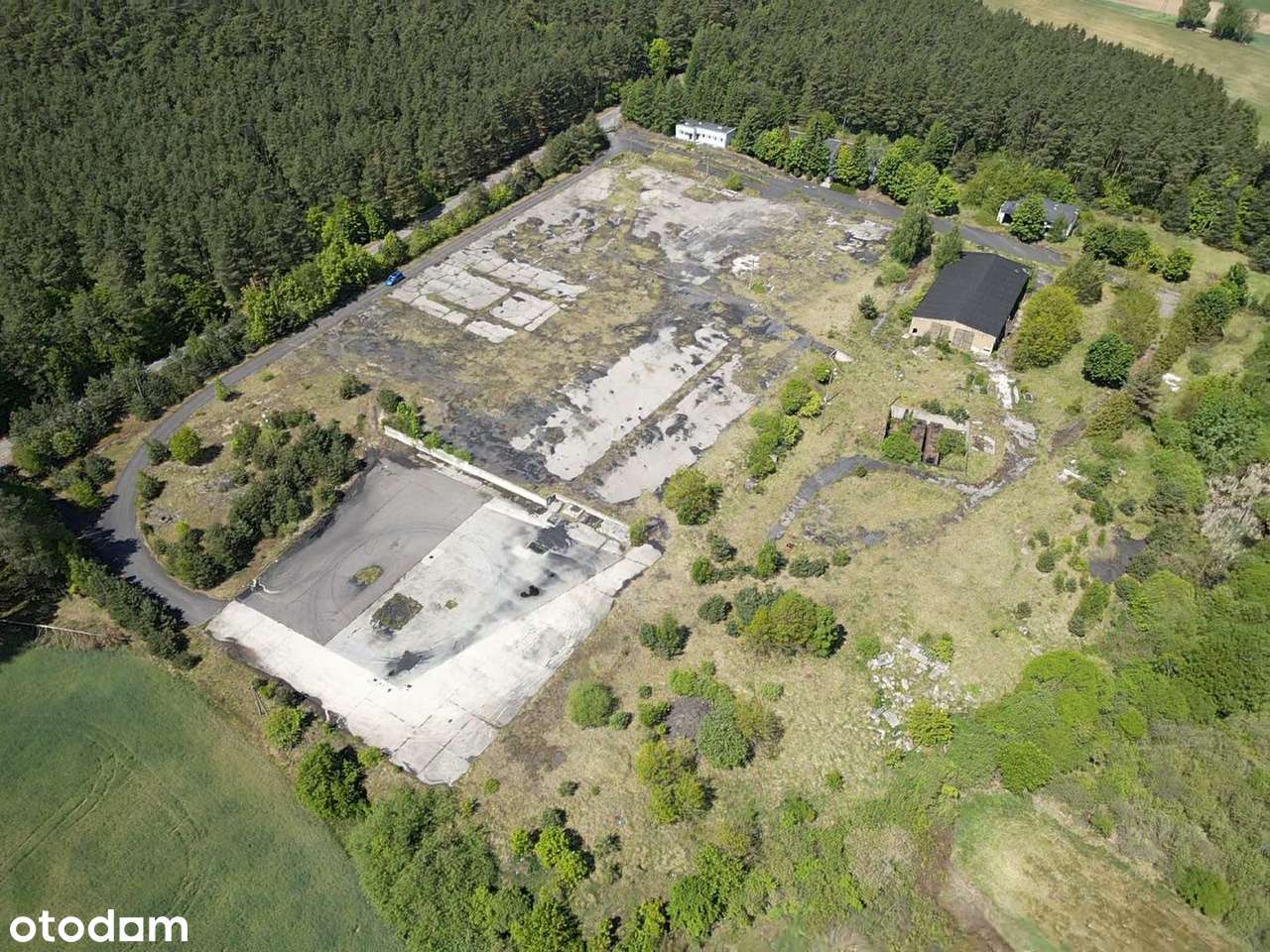 Nieruchomość z potencjałem inwestycyjnym 4,8 ha - Pełny obrazek: 5/14