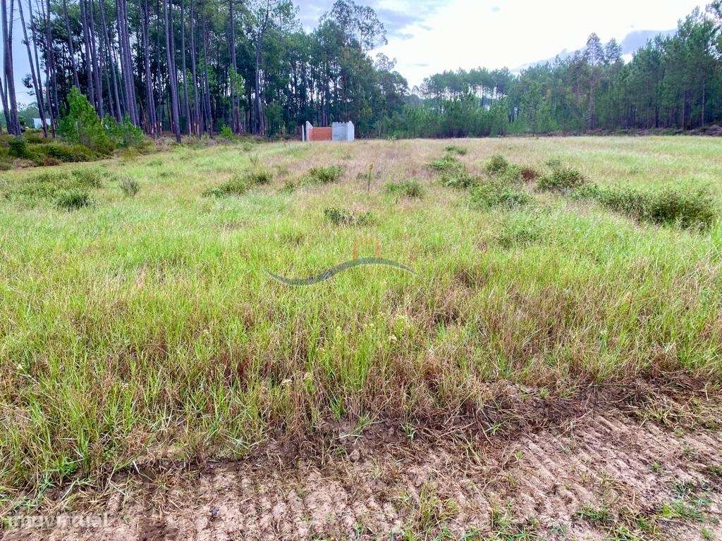 Terreno Florestal - Monte Redondo - Grande imagem: 3/18