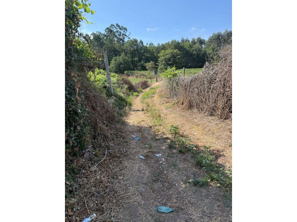 Terreno para construção em Lemenhe.-10