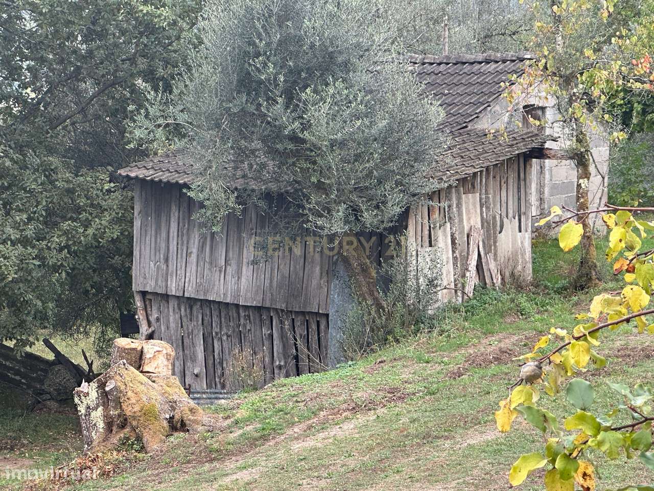 Terreno com 3.300 m² no Gerês – A 5 Minutos do Rio Caldo - Grande imagem: 5/45