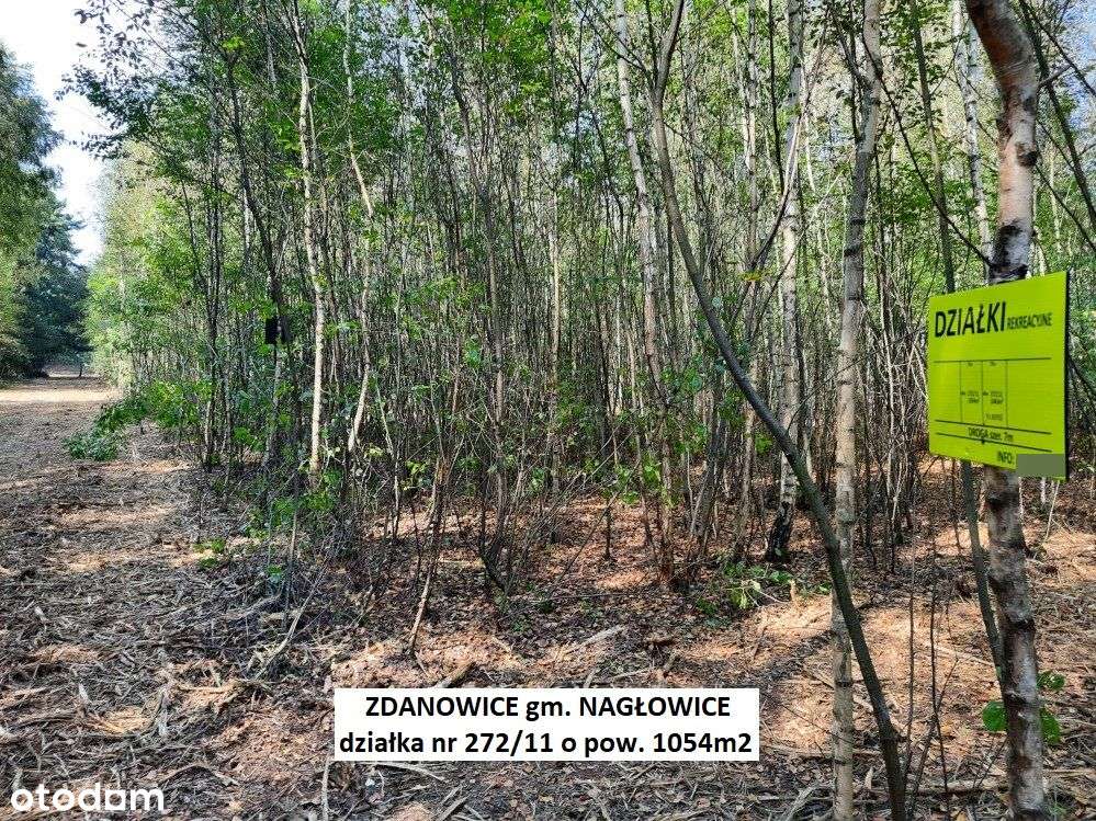 Tania działka rekreacyjna 1054m2 (plan) cena 54.900zł (f-ra 23% VAT)-1