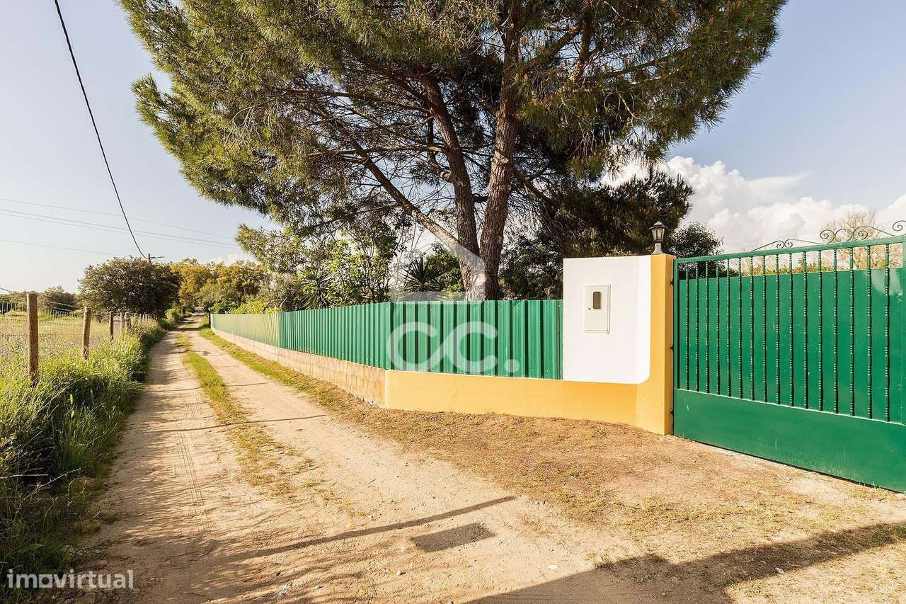 Quinta de 9250m2 c/ Moradia T4 térrea, anexo e armazém | Azaruja-38