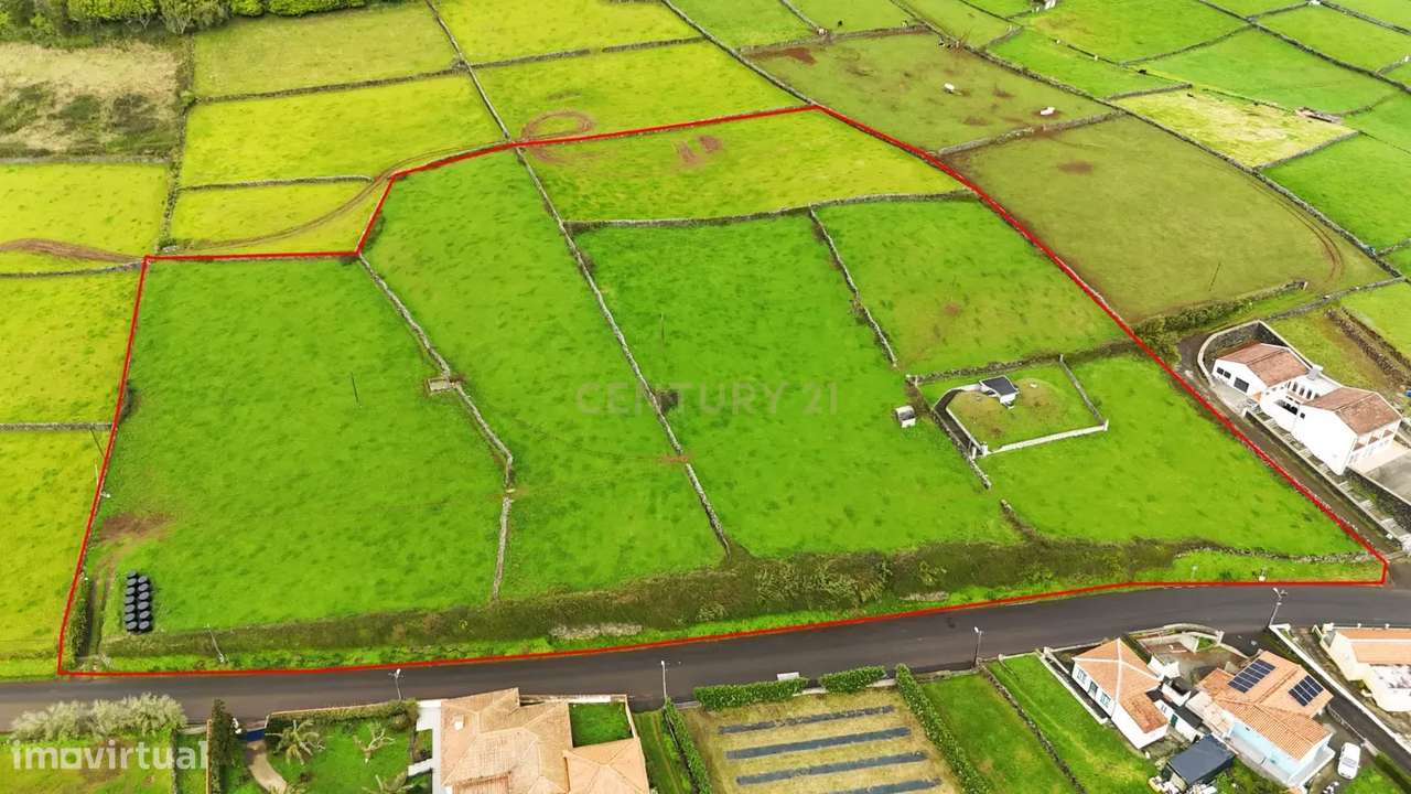 Oportunidade Única!- Terreno com Vista Mar, Serra e Campo - Grande imagem: 5/7