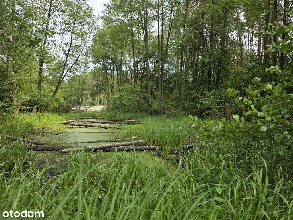 Działka rekreacyjna 1000 m2 w malowniczej okolicy - Pełny obrazek: 5/7