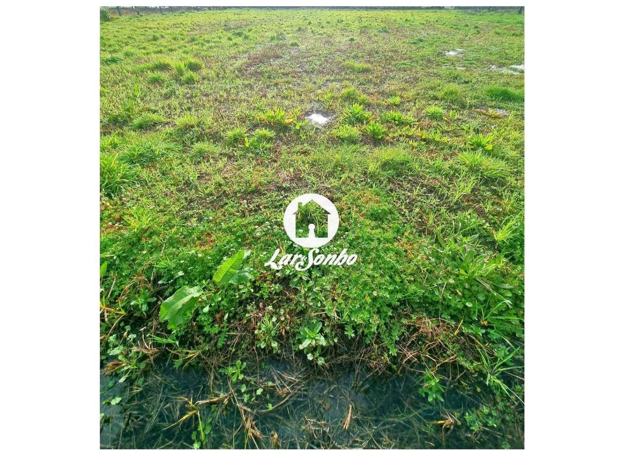 Terreno para construção de moradias - Grande imagem: 5/15