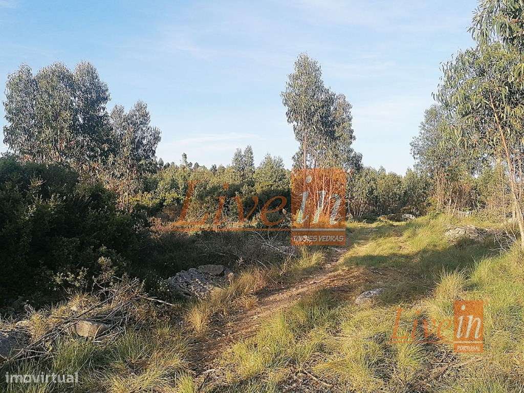 Terreno Rústico com 55680 m² na Lourinhã - Grande imagem: 5/11