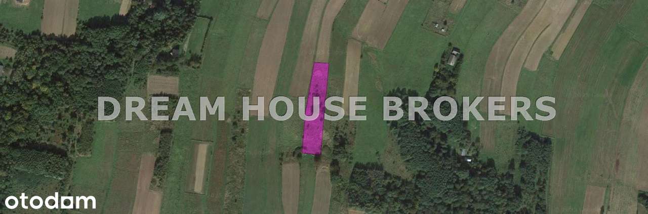 Działka 41ar - Chmielnik - Pełny obrazek: 1/5