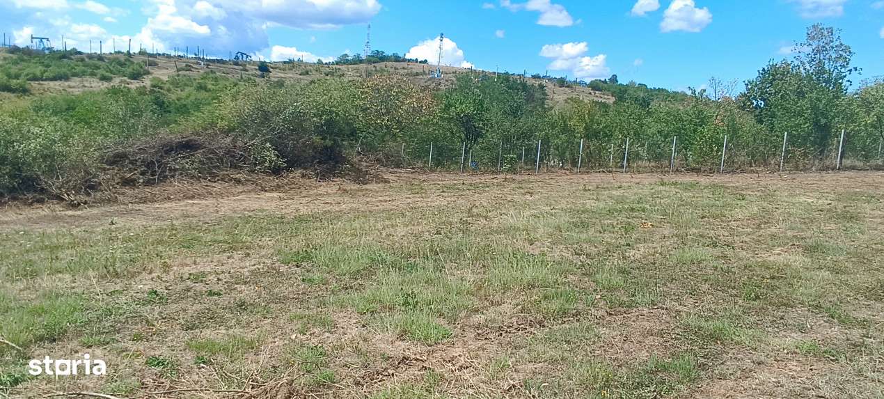 Terenuri cu suprafete intre 500 si 1500 mp in Baicoi, zona Liliesti.-6