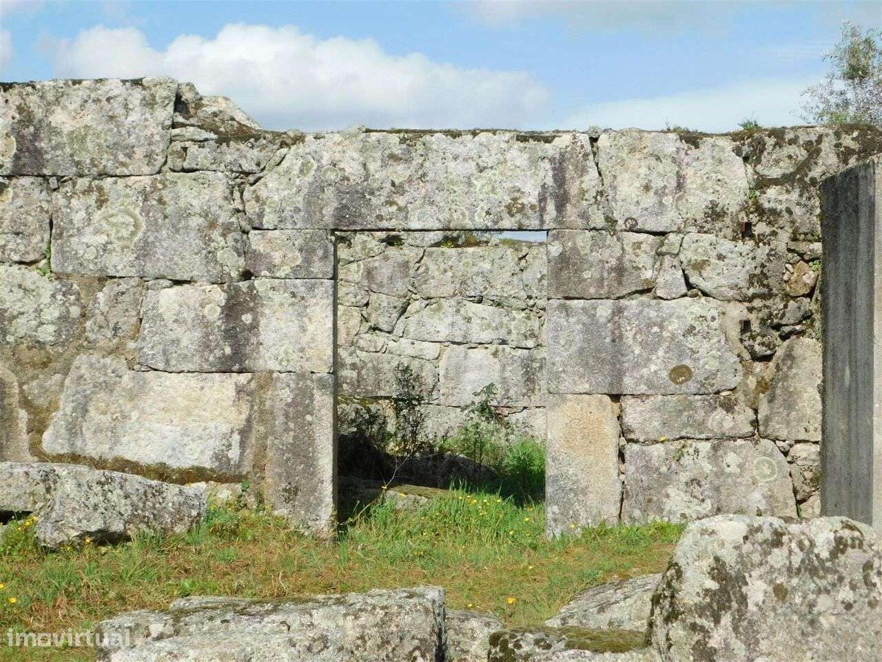 Quinta / Seia, Girabolhos - Grande imagem: 5/19