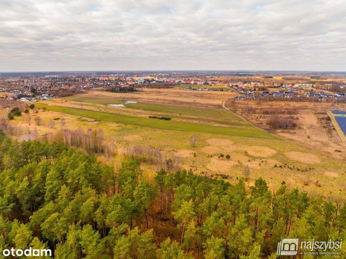 Nowe Kulice - działka 4,13ha - Pełny obrazek: 4/16