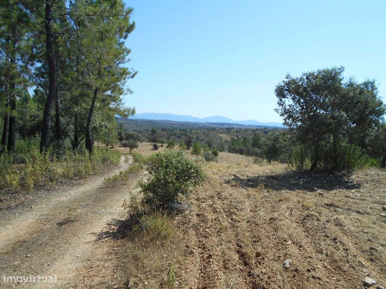 Terreno - Grande imagem: 2/7