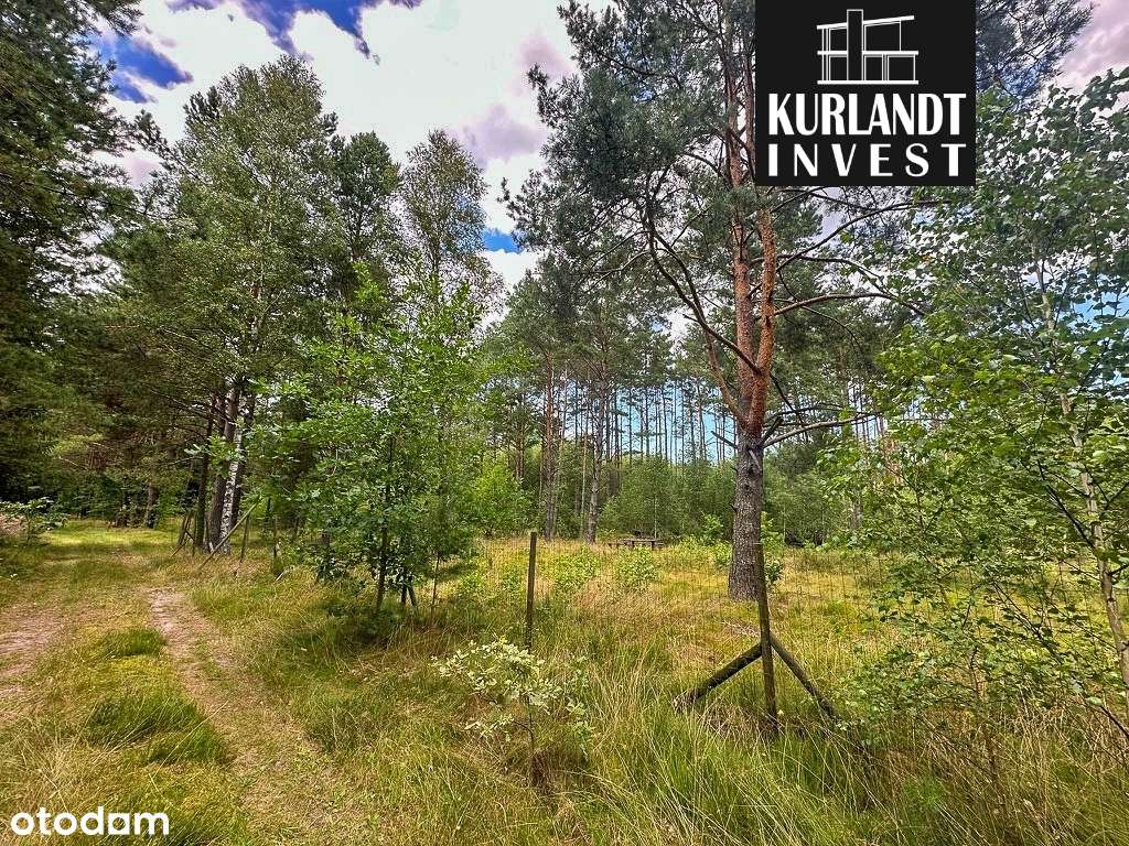 Działki budowlane blisko jeziora i lasu MPZP-5