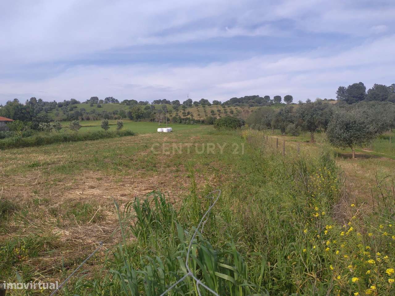 Terreno misto para construção - Grande imagem: 2/9