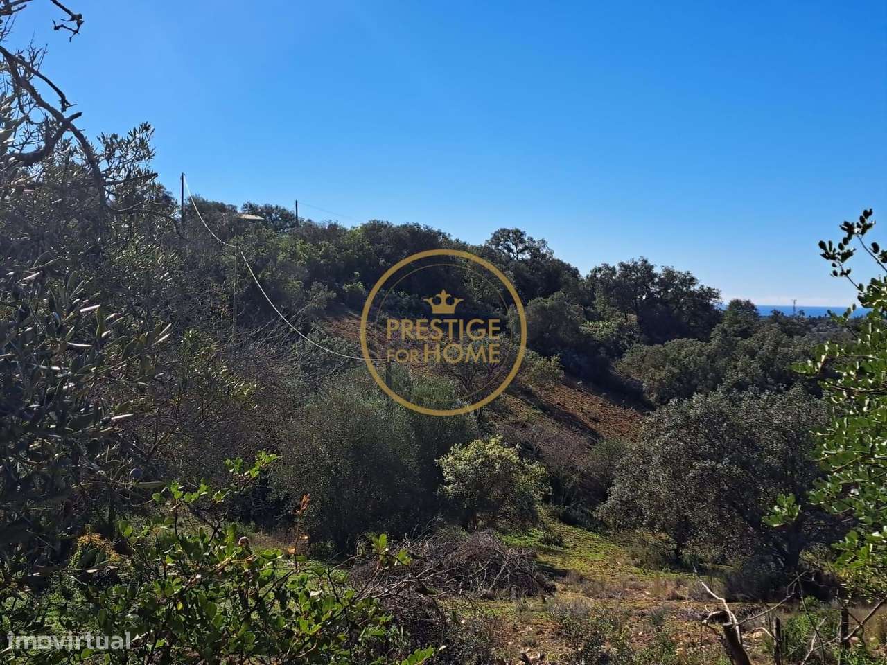 Terreno com ruína - Vista Mar  - 5 min de Loulé - Grande imagem: 4/30